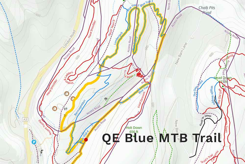 QE-blue-mtb-trail