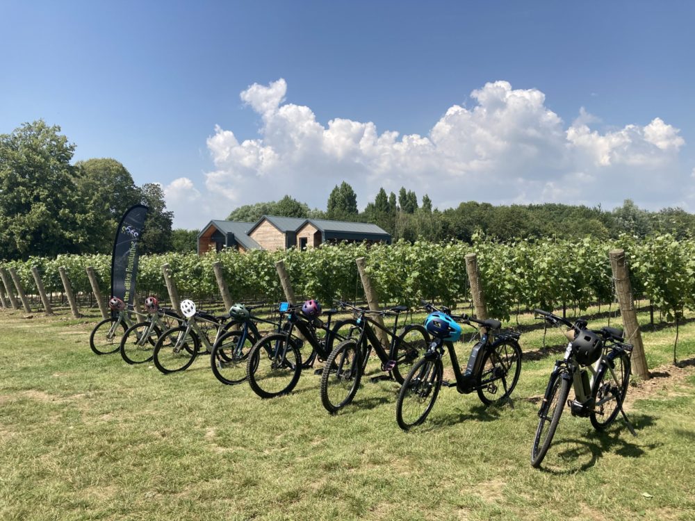 Electric bikes in the vineyard