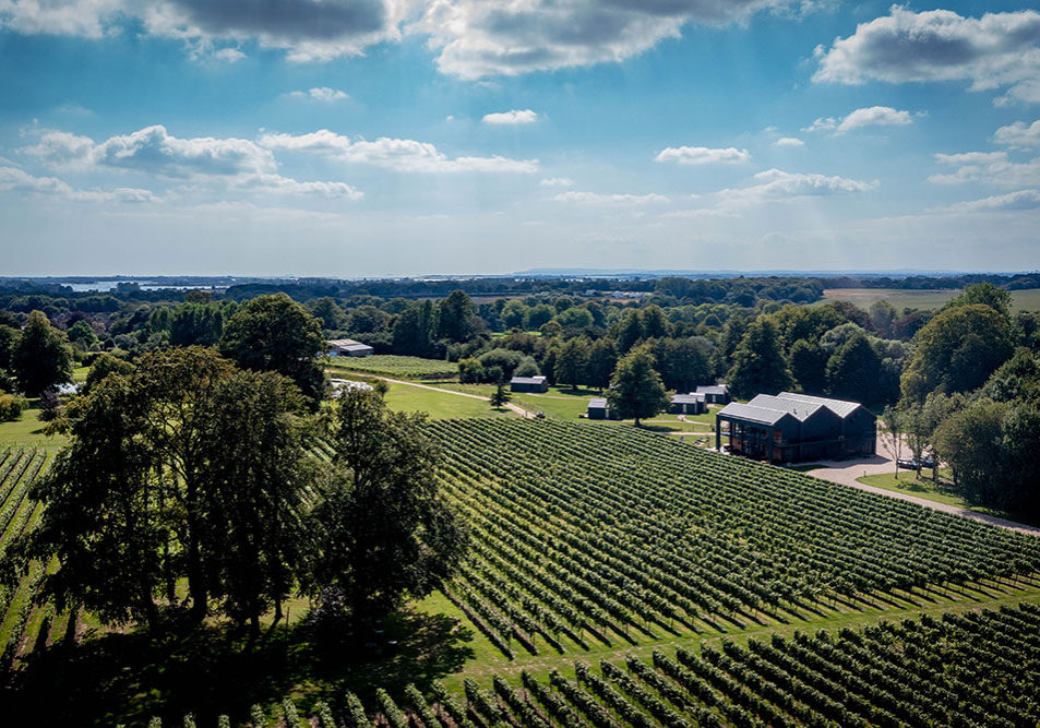 Ashling Park Vineyard